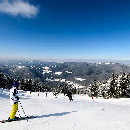 Bs-oetscher Ξενοδοχείο 3*