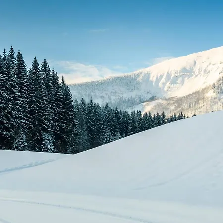 Bs-oetscher Ξενοδοχείο Lackenhof