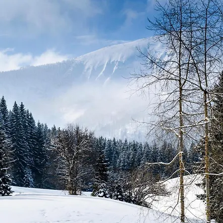 Bs-oetscher ラッケンホーフ