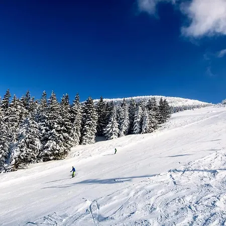 ホテル Bs-oetscher 3*