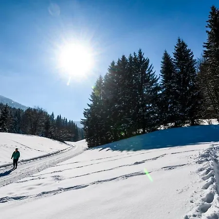 Ξενοδοχείο Bs-oetscher