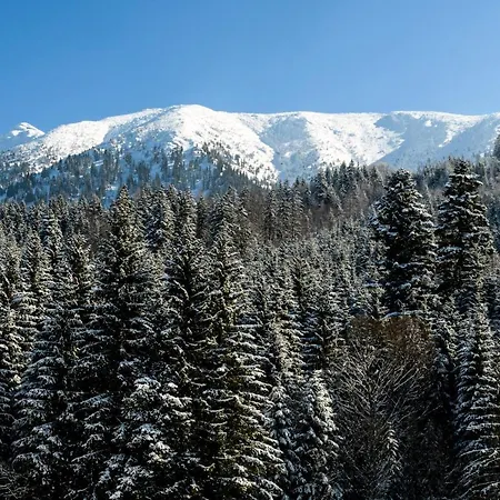 Bs-oetscher Lackenhof