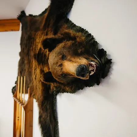 ホテル Bs-oetscher 3*