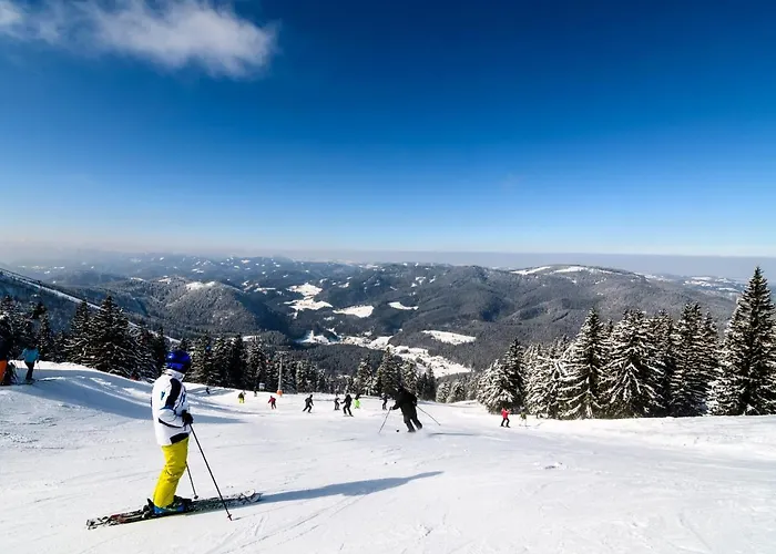 Bs-oetscher Hotel 3*