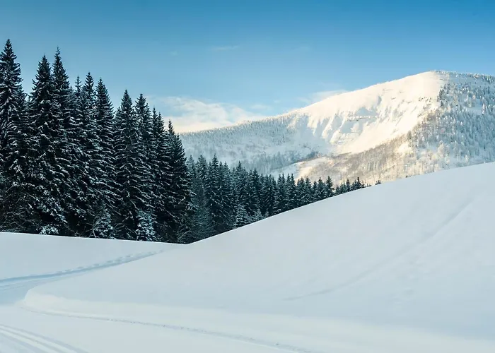 Bs-oetscher Hotel Lackenhof