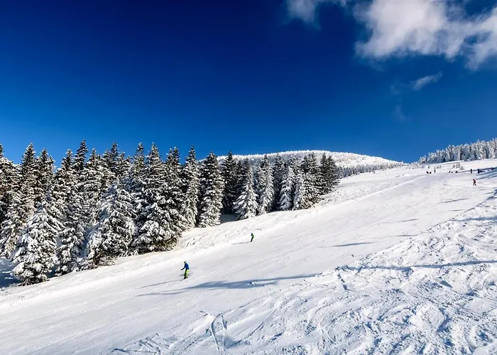 Hotel Bs-oetscher 3*