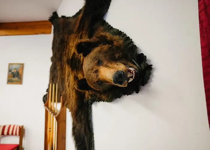 Hotel Bs-oetscher 3*